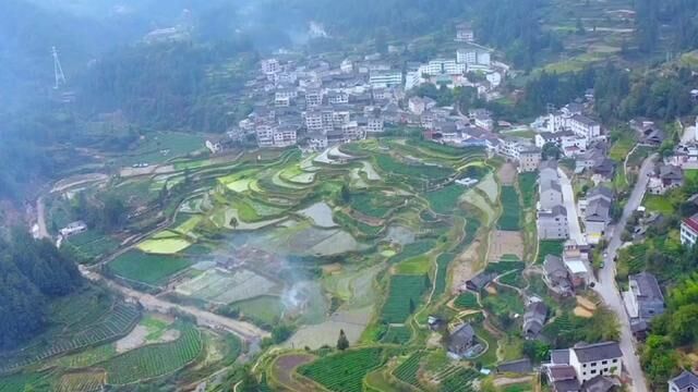 #雷山望丰村 这里是雷山县望丰村,是全国一村一品示范村镇(茶叶).#贵州黔东南 #无人机航拍 #美丽乡村