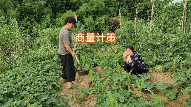 大龄儿子一直单身,父母都老了,迫切希望找到儿媳妇