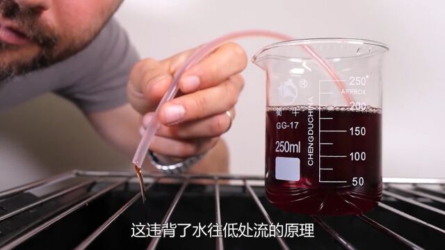 “公道杯”是什么?只可浅平不能过满,堪称杯子界的“哲学家”