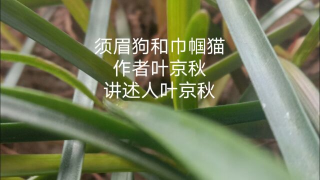 愿你会心一笑.