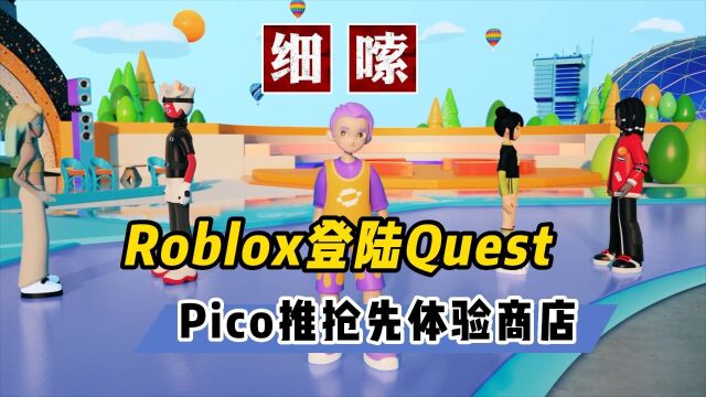 Roblox将登陆Quest2 PICOVR新推抢先体验商店