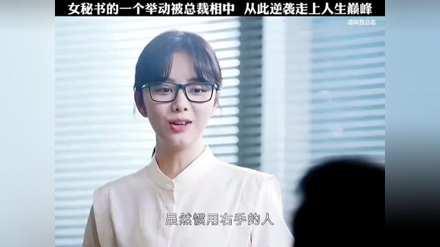 女秘书的一个举动被总裁相中从此逆袭走上人生巅峰