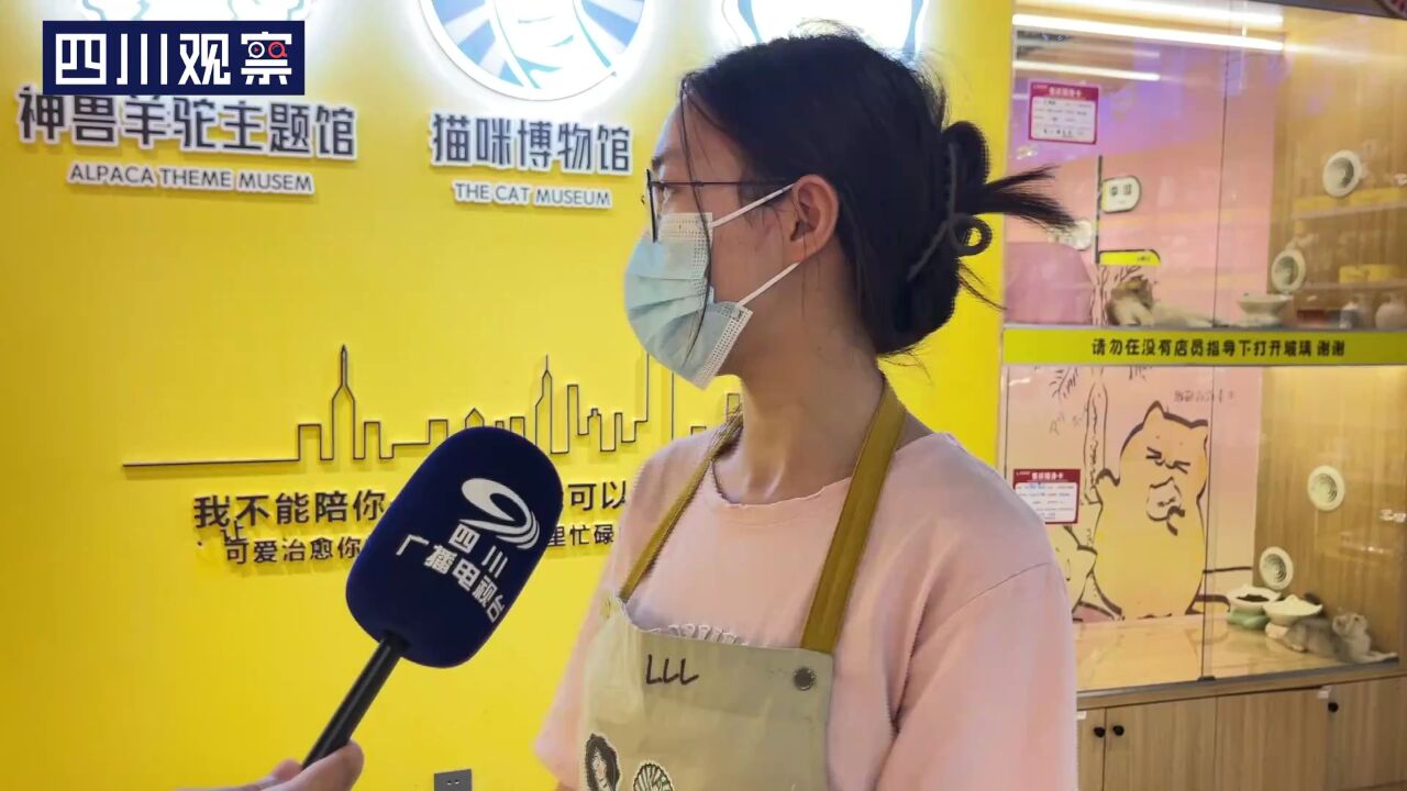 好治愈!快来这里实现“撸猫”自由