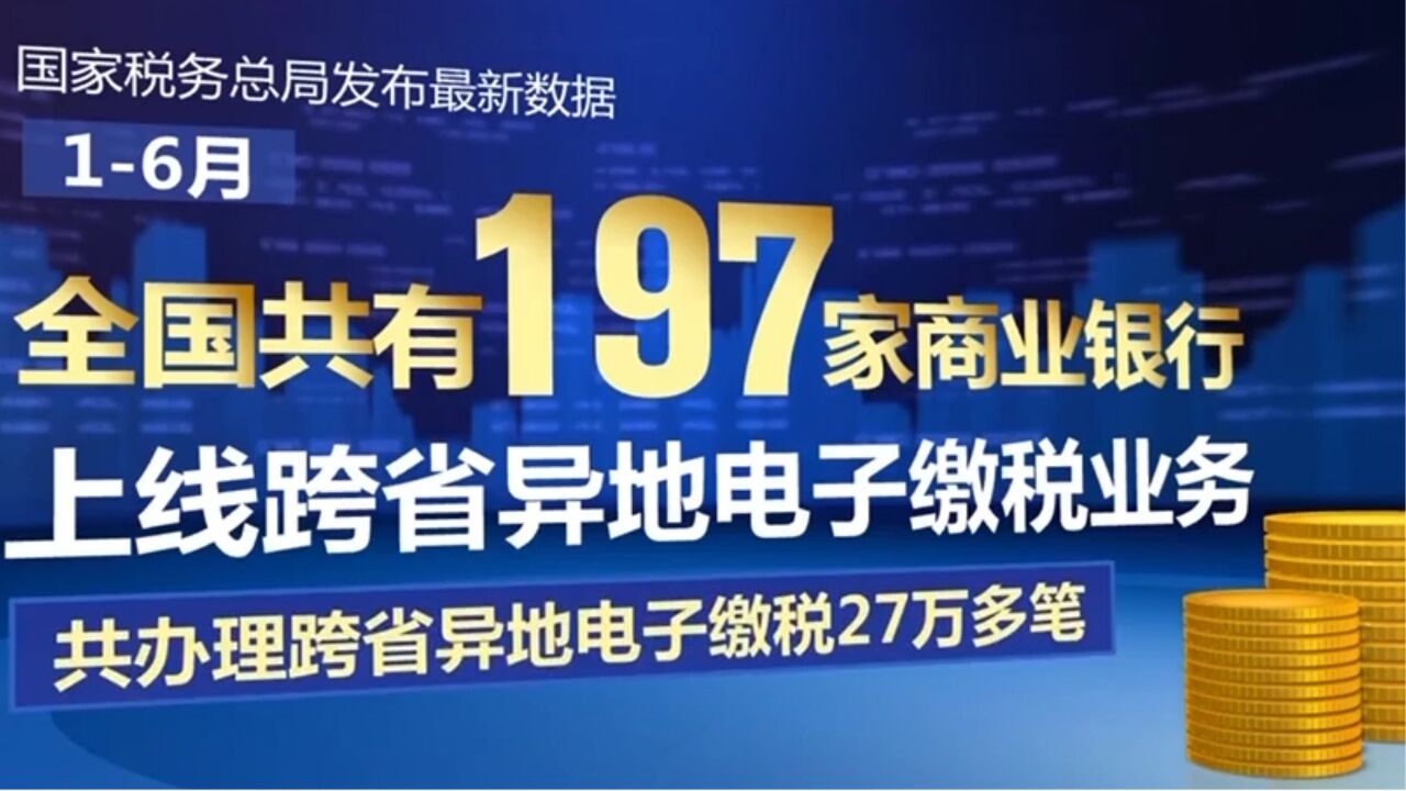 16月全国办理跨省异地电子缴税超380亿元