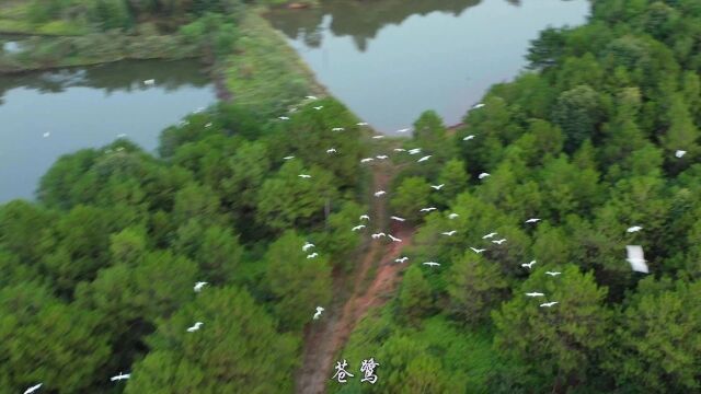 两日游 | 一票玩转武平4A级景区