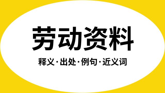 “劳动资料”是什么意思?