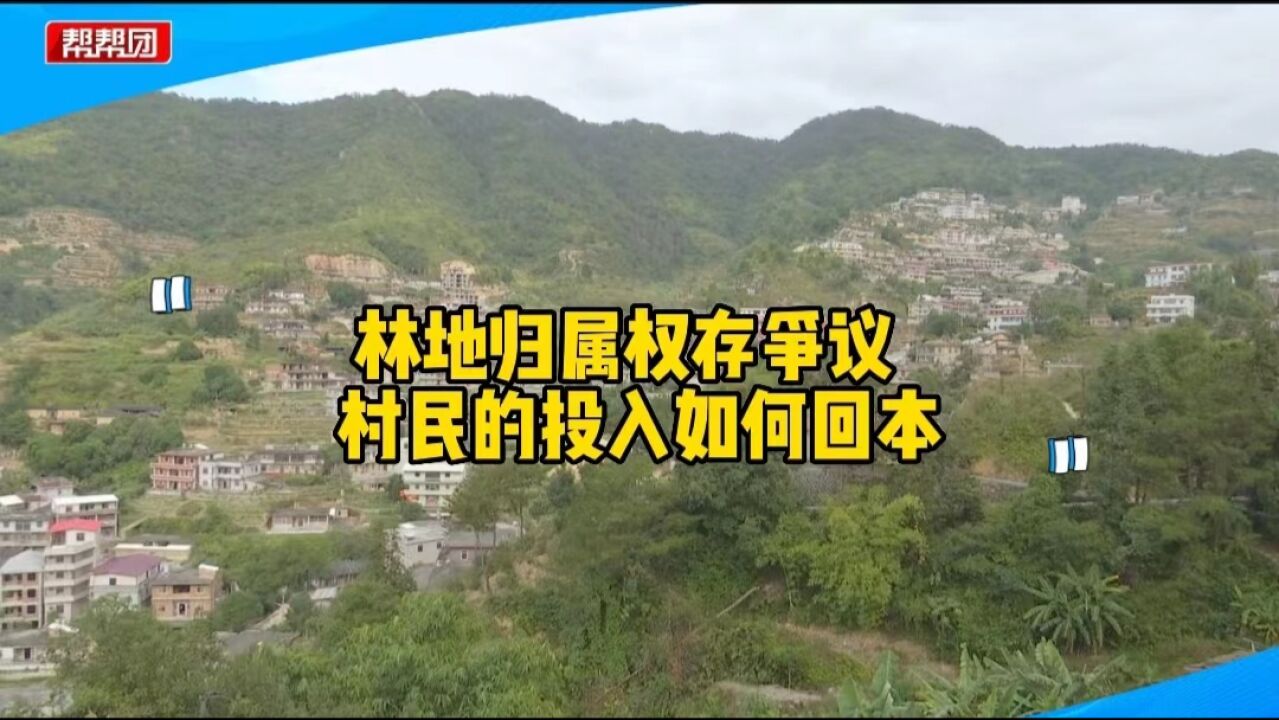 抚育树木四年 却被告知林地属于他人?林业局:地仍属村集体所有