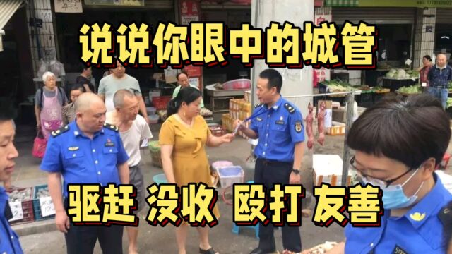 城管执法的随意性与不公:摊贩反感的真正原因