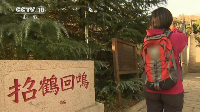 “招鹤回鸣”的鹤声究竟来自哪里?