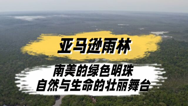 一分钟带你快速了解南美的绿色明珠,自然与生命的壮丽舞台