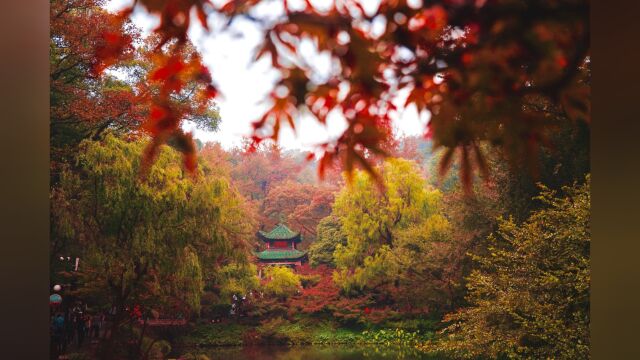 全新岳麓山风景名胜区形象宣传片发布!