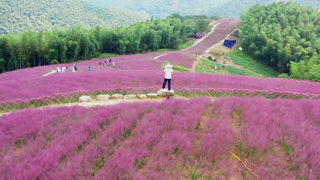 在鄞州塘溪镇一个叫月宫山的地方