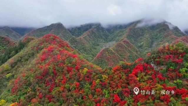 100组作品,获奖了!(附名单)