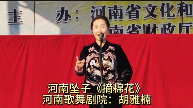 河南坠子《摘棉花,河南歌舞剧院胡雅楠表演》