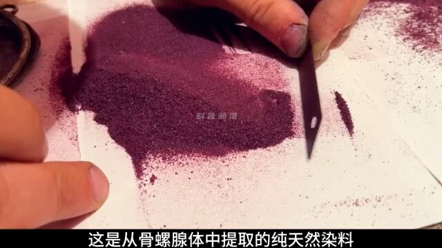 骨螺染料是如何制作的?