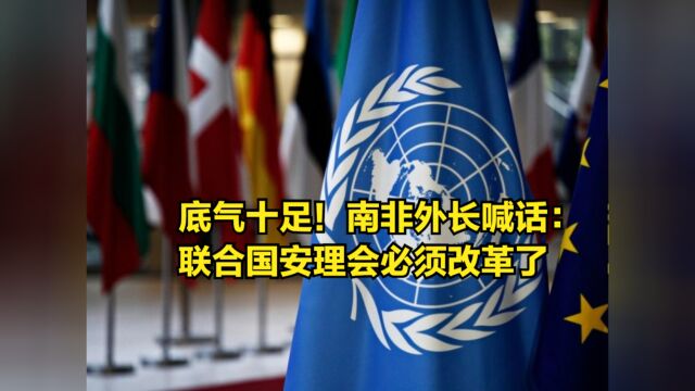 40国给了南非底气!南非外长喊话:联合国安理会必须改革了