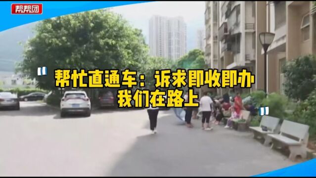 帮忙直通车:六旬大爷担心自己力不从心 捐出精心培育多年的盆栽