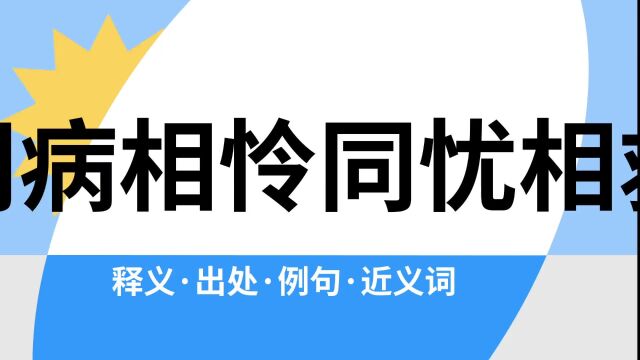 “同病相怜同忧相救”是什么意思?