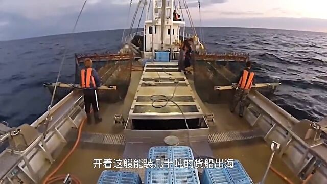 一个视频看懂深海鱼油的制作过程深海鱼油海洋生物