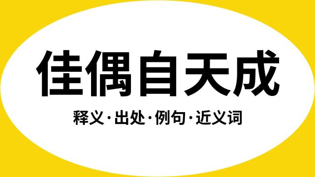 “佳偶自天成”是什么意思?