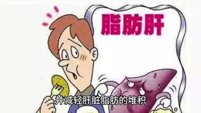 脂肪肝吃什么才能减掉肝上的脂肪,这个方法简单有效