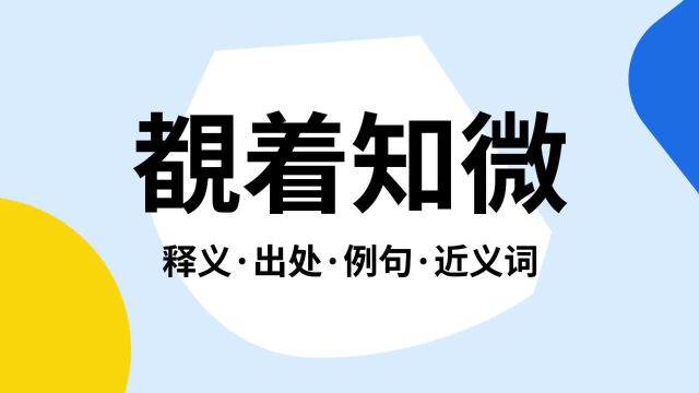 “覩着知微”是什么意思?