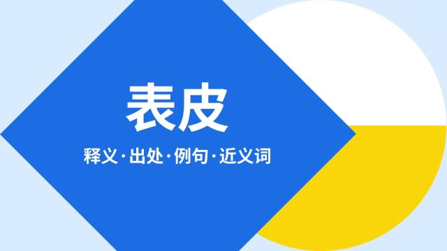 “表皮”是什么意思?