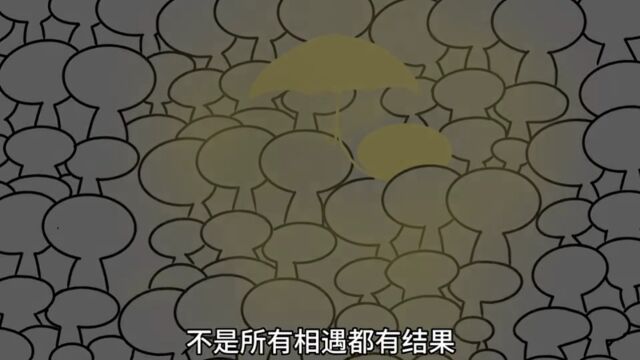 遇见你是这辈子最幸运的事