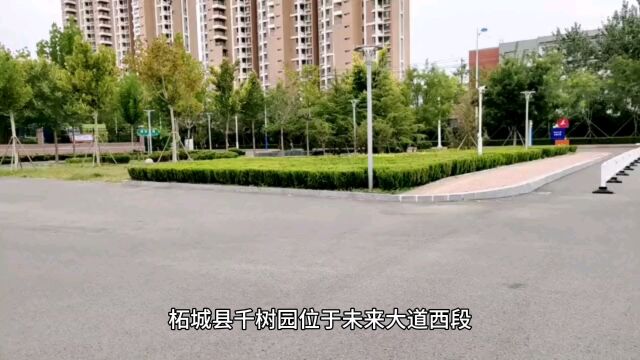 商丘柘城千树园