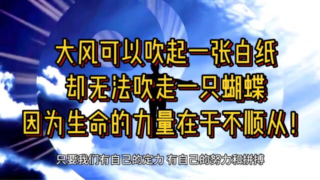 大风可以吹起一张白纸,却无法吹走一只蝴蝶,因为生命的力量在于不顺从!