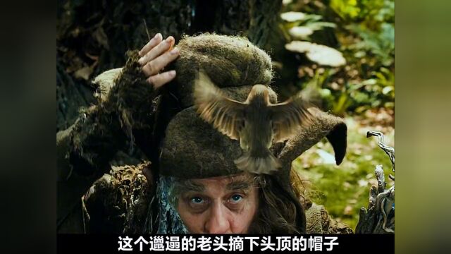 魔幻巨作魔戒三部曲《霍比特人之意外之旅》