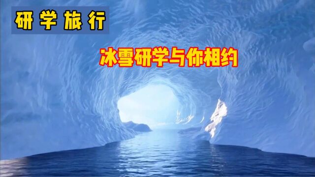 研学旅行之冰雪综合实践活动