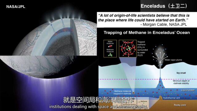 张鑫海中的冷泉和热液到底是什么?