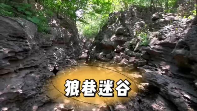 旅游攻略滁州狼巷迷谷