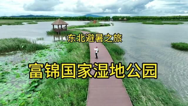 东北避暑之旅~少为人知的富锦国家湿地公园.两个人包场来拍鸟 #旅行vlog