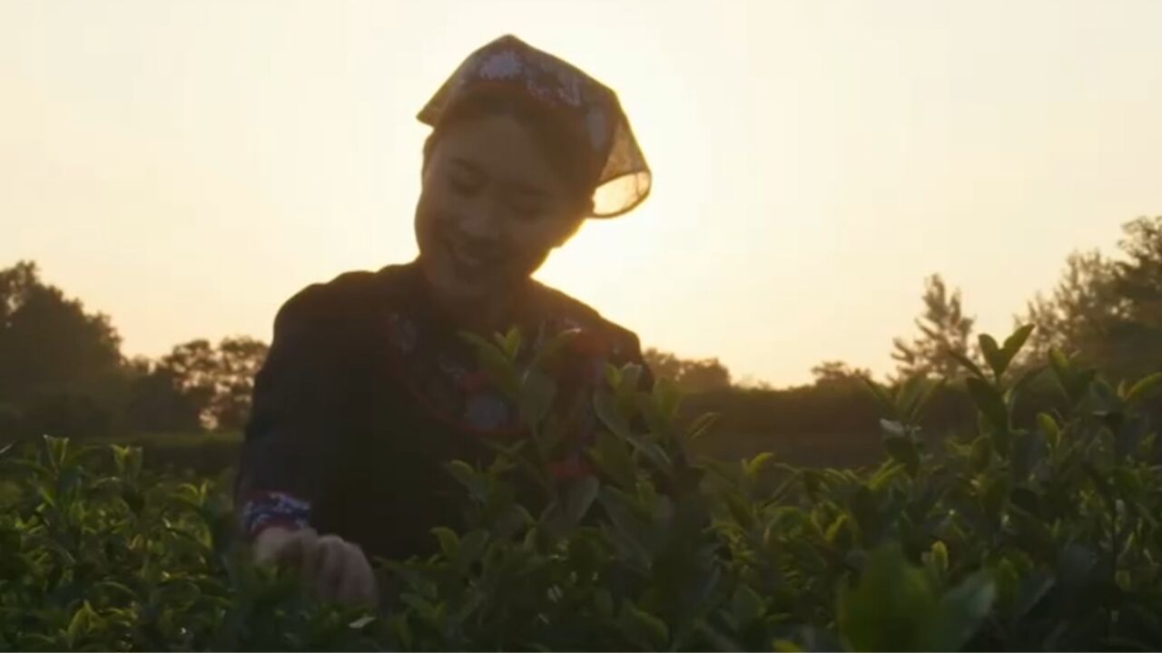 仪征是民歌《茉莉花》的发源地之一,也是这首民歌传向外地的重要起点