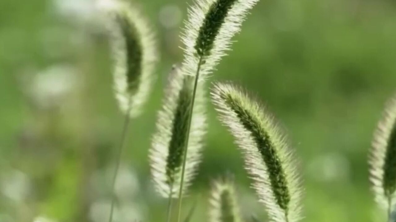 方芳温柔演唱《我不是别人》,歌声透出一丝伤感,唱哭了我