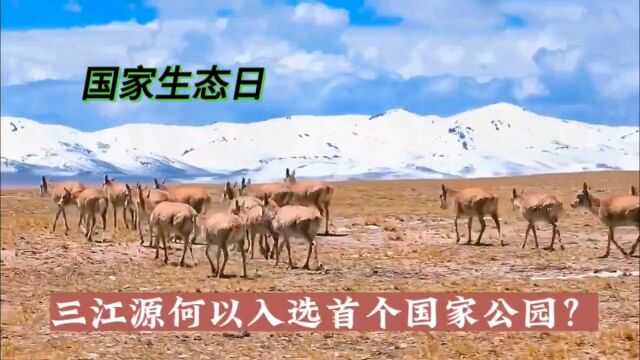 国家公园首选三江源自然保护区