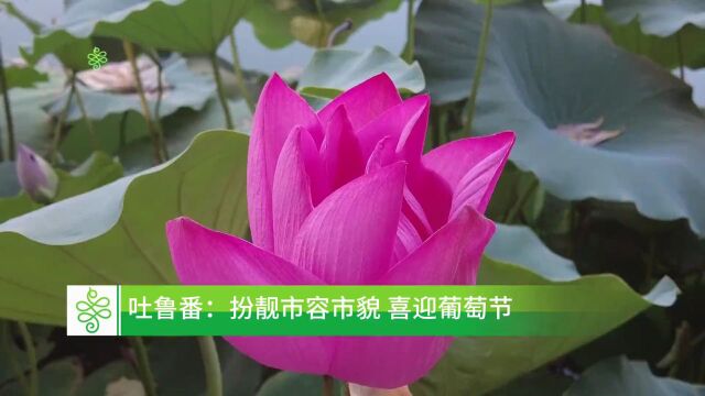 紧锣密鼓迎佳节 | 佳节临近,他们已经准备好了!