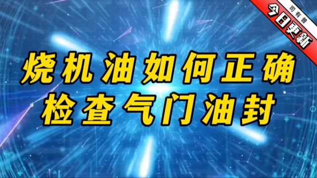 烧机油为什么气门油封检查这么难快速学会检查油封