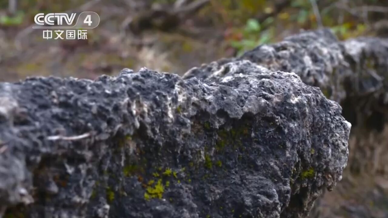 近距离地观察边石坝,水流过时的方向决定了它的形态