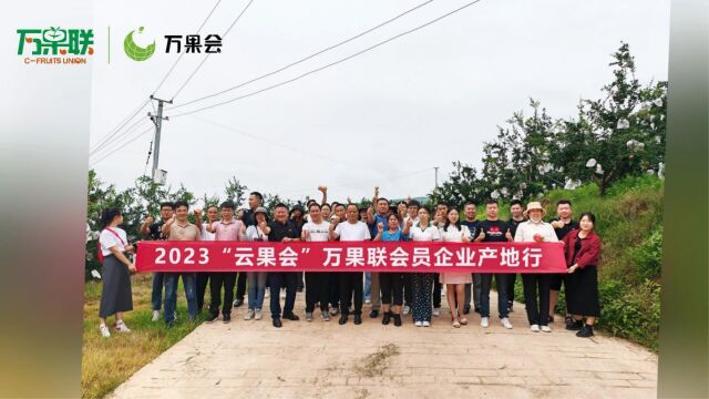 2023“云果会”万果联会员企业产地行,感受云果魅力.50家采购商深入云南果蔬产区会泽、马龙.云果会为采购商和产地企业搭建更多合作机会,共同促...