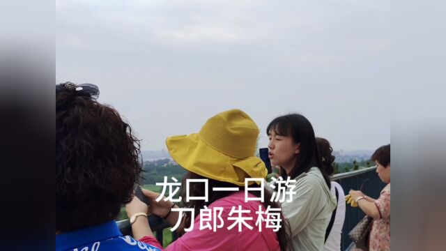 【龙口南山⛰️一游】刀郎朱梅:演唱