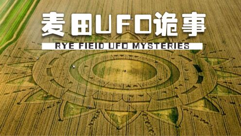 UFO与麦田圈真的有关系吗，这个视频会告诉你