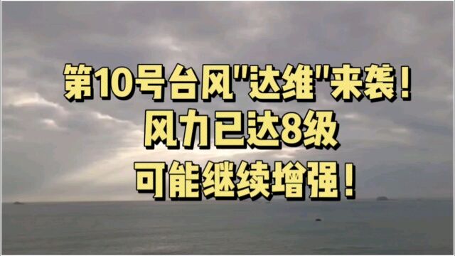 第10号台风\