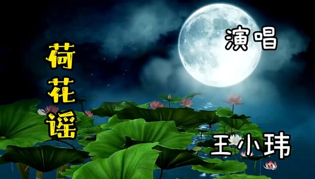 王小玮深情演唱《荷花谣》声音空灵好听,让人耳目一新