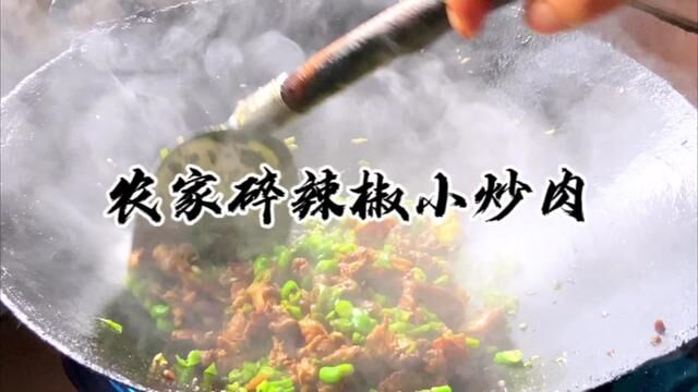 在家做的小炒肉怎么炒都比外面好吃#真材实料才能做出好味道 #人间烟火气最抚凡人心 #小炒肉的家常做法 #农村生活