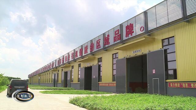 【新闻】我市深度融合一二三产 助力经济循环发展