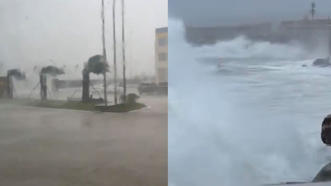 台风“苏拉”逼近广东汕尾:城区狂风大作、树狂摇 沿海巨浪拍岸