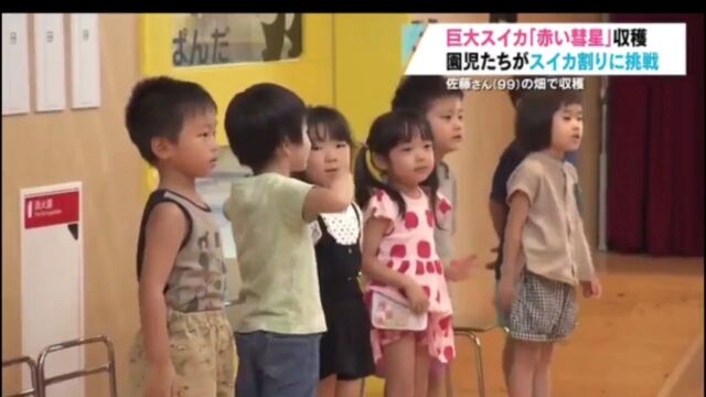 【看新闻 学日语】99岁瓜农产17公斤西瓜